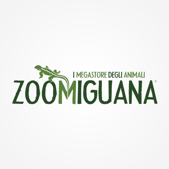 Zoomiguana