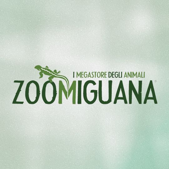 Zoomiguana